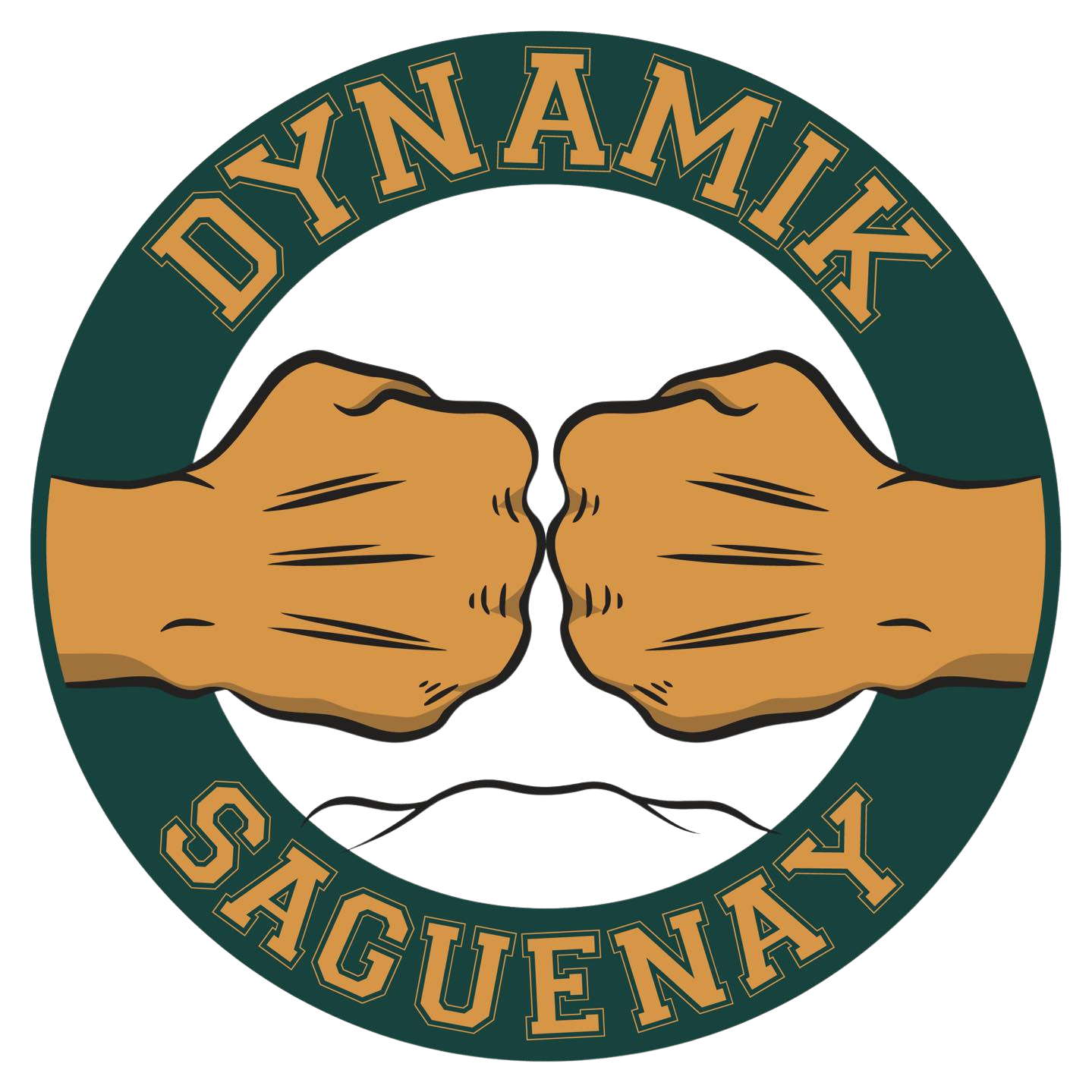 Dynamik Saguenay - Club de Boxe à Chicoutimi